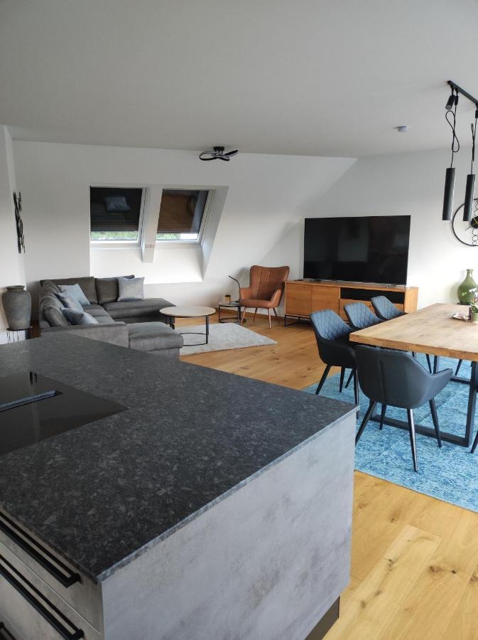Luxurioeses Penthouse Mit Blick Auf Die Uno-City Und Dem Kaiserwasser. 3Schlafzimmer, 2 Baeder, Privat Lift Ins Apartment เวียนนา ภายนอก รูปภาพ